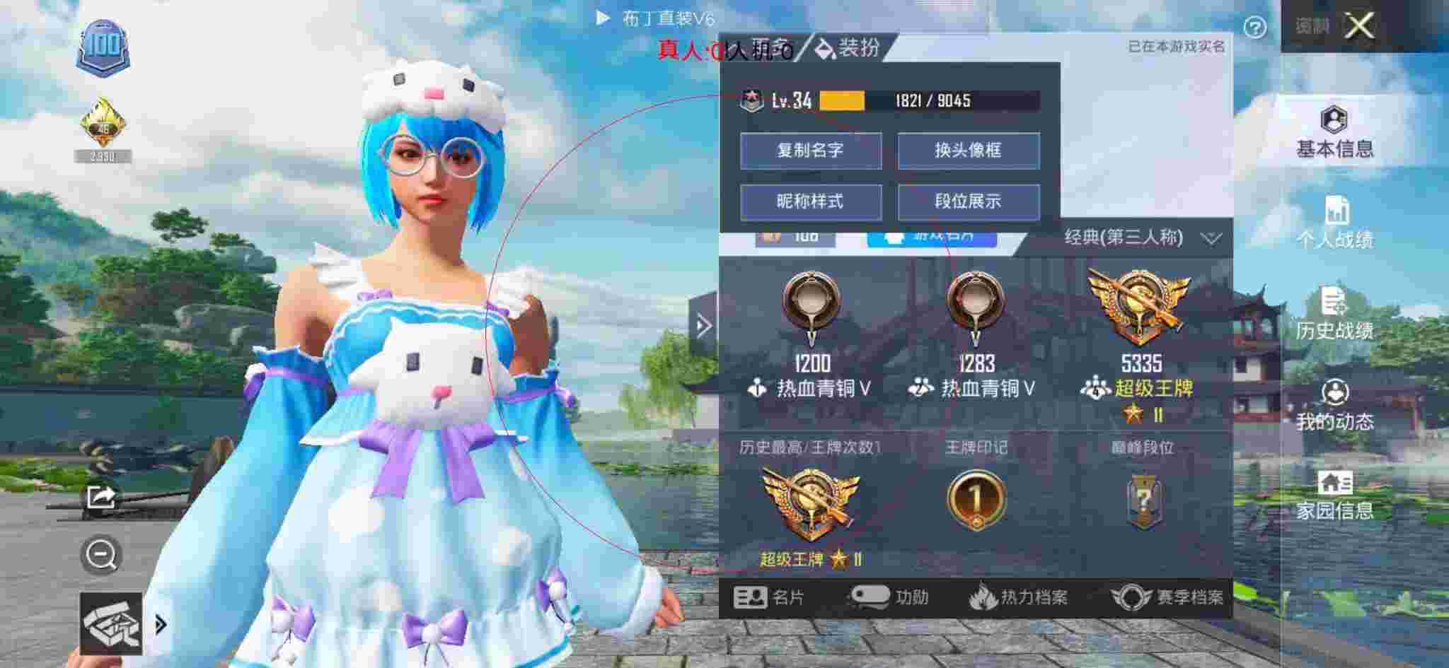 和平精英布丁直装透视 - 和平精英青铜局的外挂辅助预览图